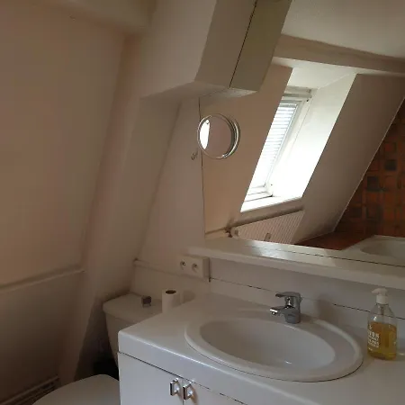 Charmant Duplex Centre Ville Apartment *